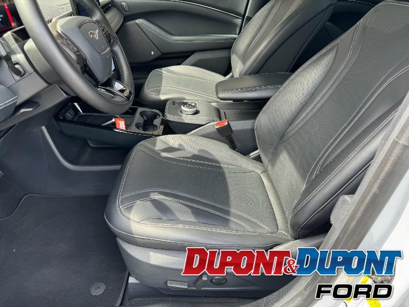 Ford Mustang Mach-e 10