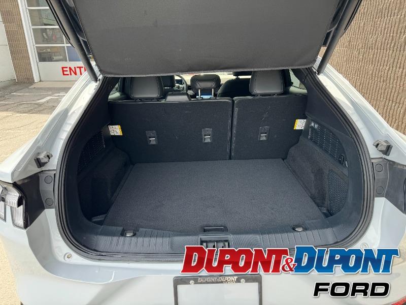 Ford Mustang Mach-e 13