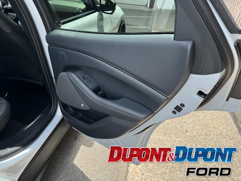 Ford Mustang Mach-e 14