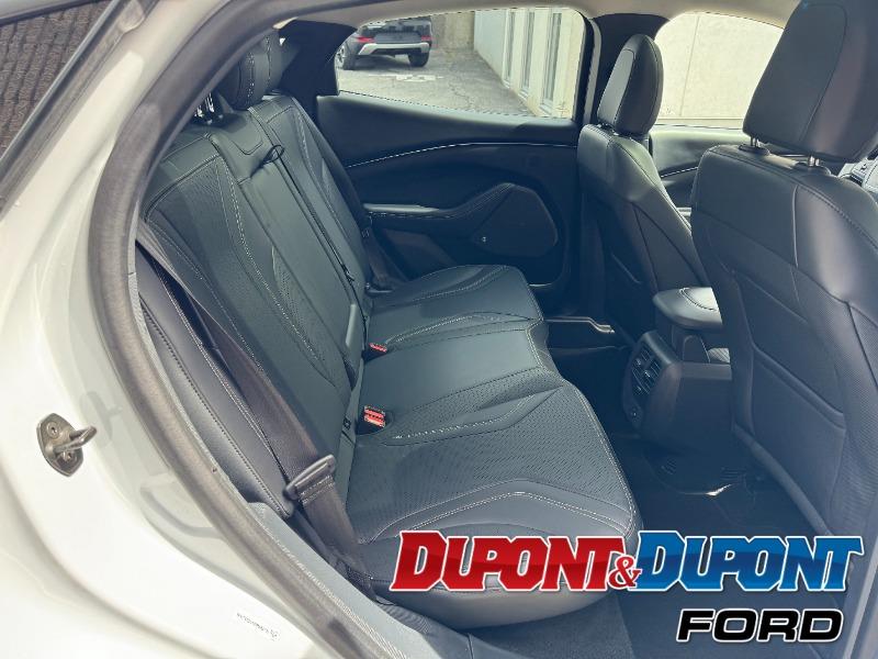 Ford Mustang Mach-e 15