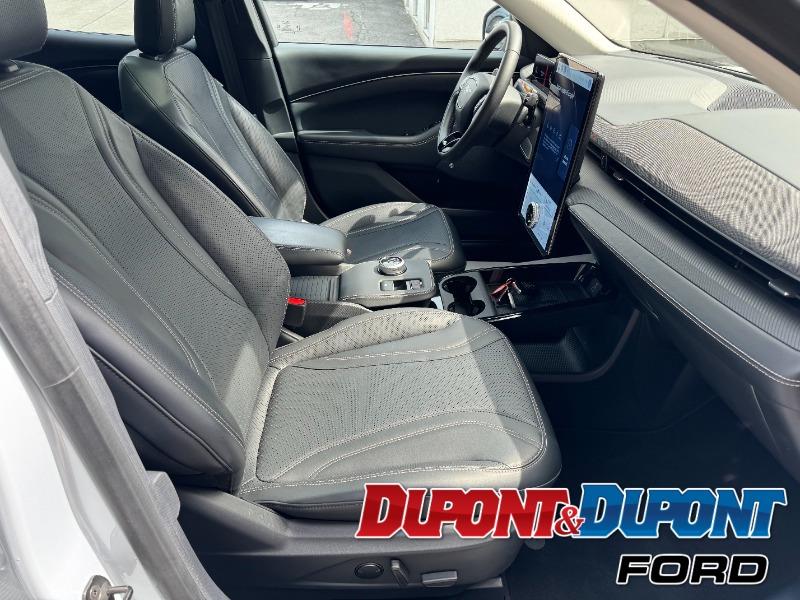 Ford Mustang Mach-e 17