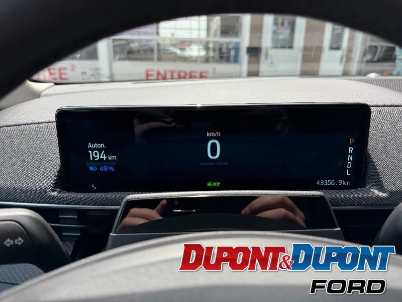 Ford Mustang Mach-e 19