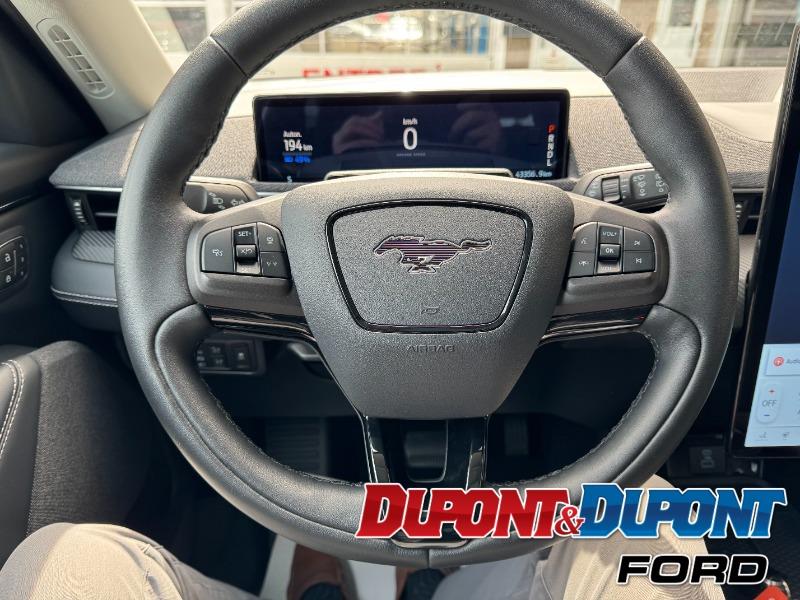 Ford Mustang Mach-e 20