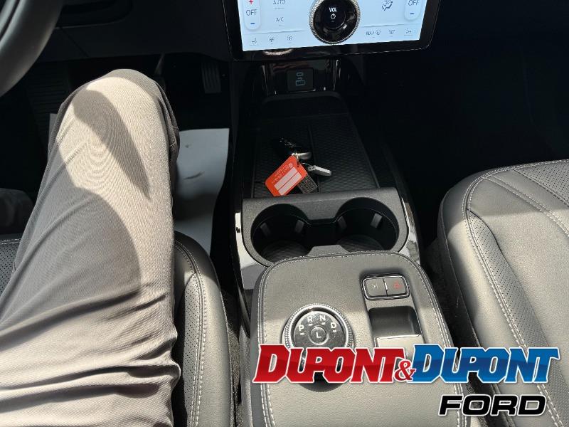 Ford Mustang Mach-e 22