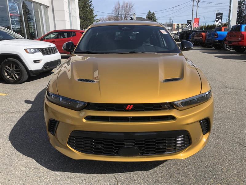 Dodge Hornet 2