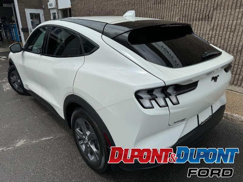 Ford Mustang Mach-e 3