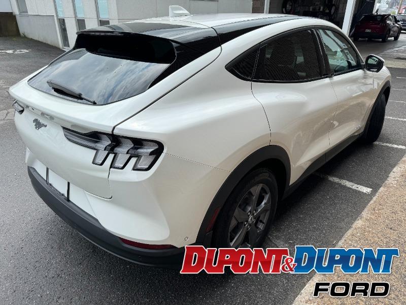 Ford Mustang Mach-e 5