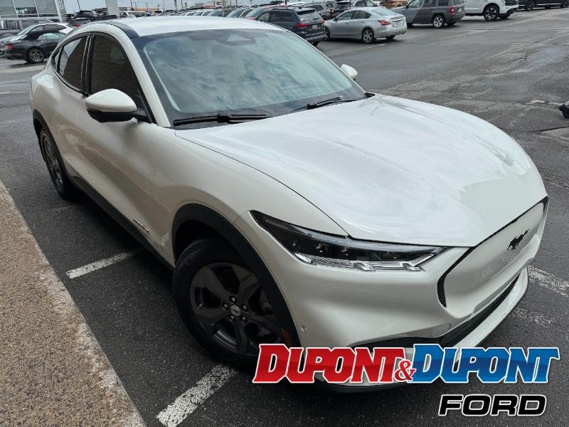 Ford Mustang Mach-e 6