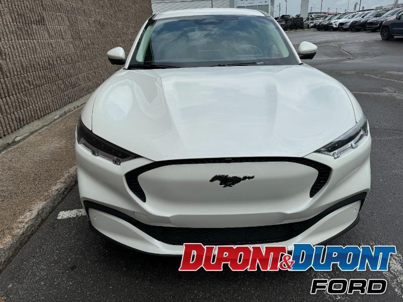 Ford Mustang Mach-e 7