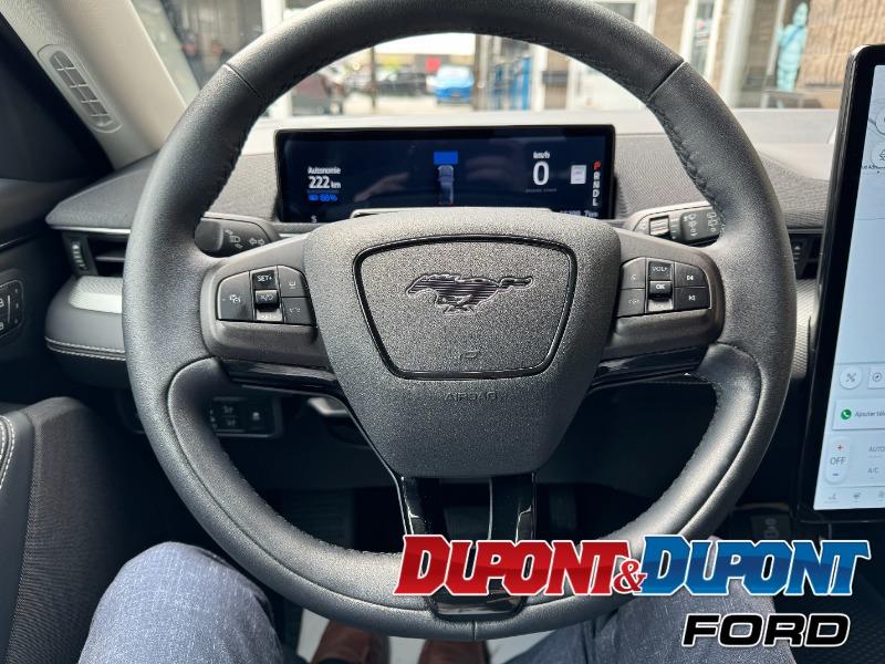 Ford Mustang Mach-e 20