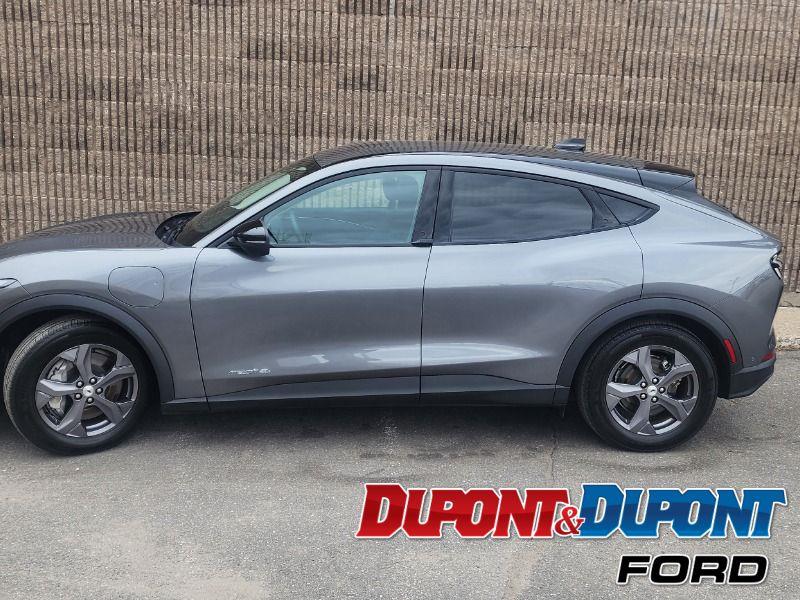 Ford Mustang Mach-e 2