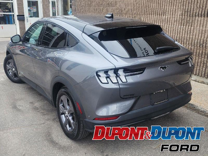 Ford Mustang Mach-e 3