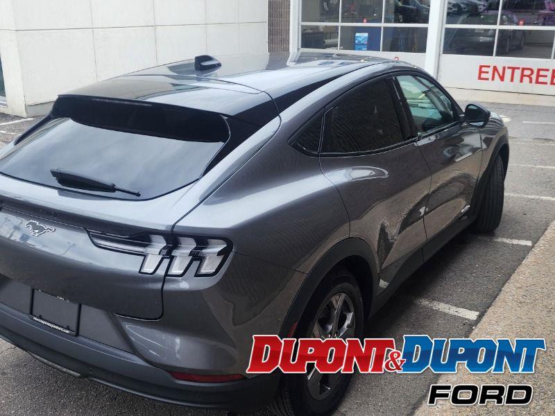 Ford Mustang Mach-e 5