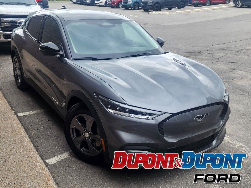 Ford Mustang Mach-e 6