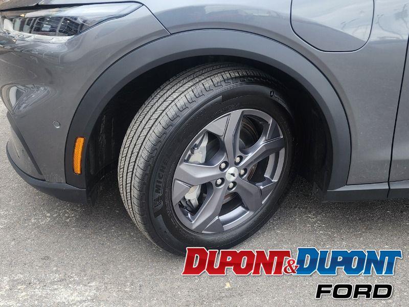 Ford Mustang Mach-e 9