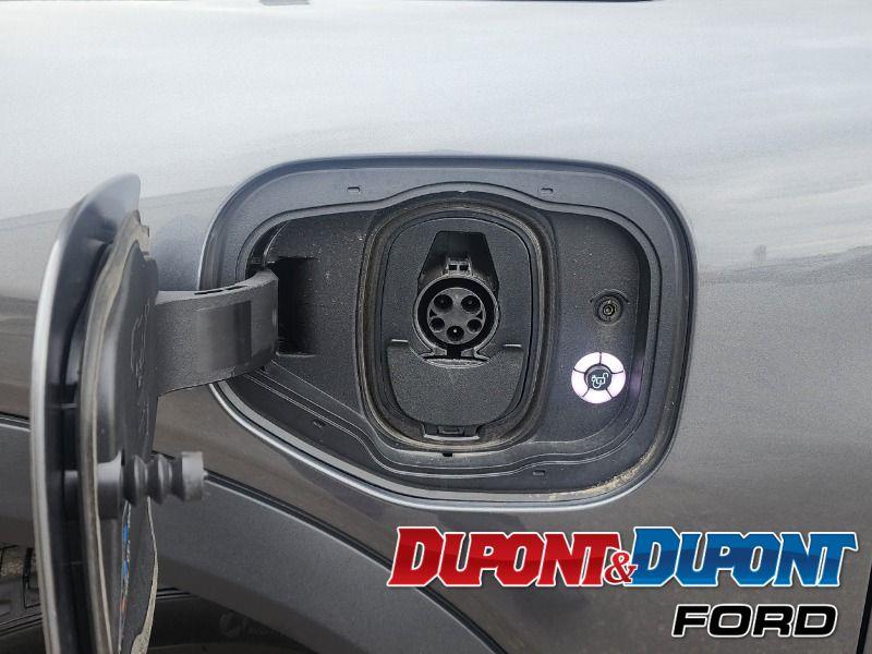 Ford Mustang Mach-e 10