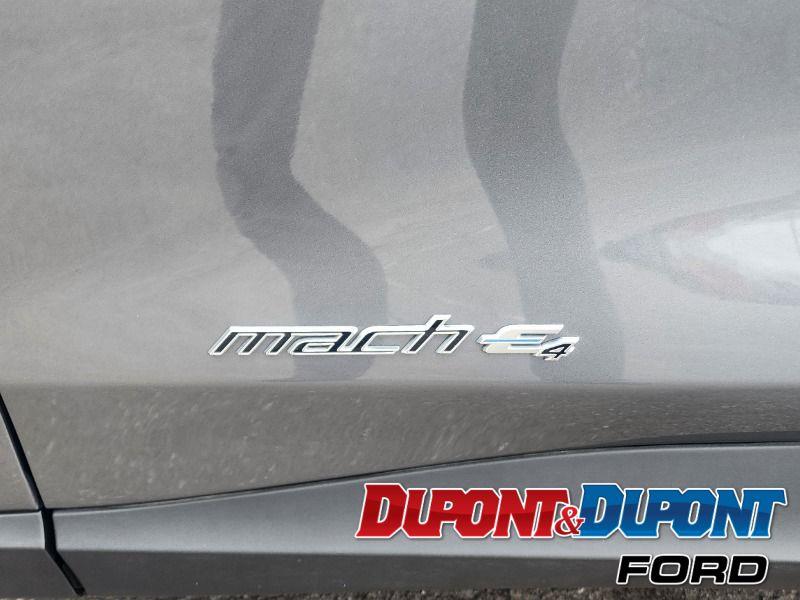 Ford Mustang Mach-e 12