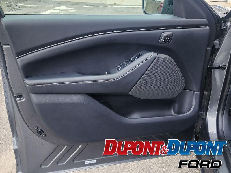 Ford Mustang Mach-e 13