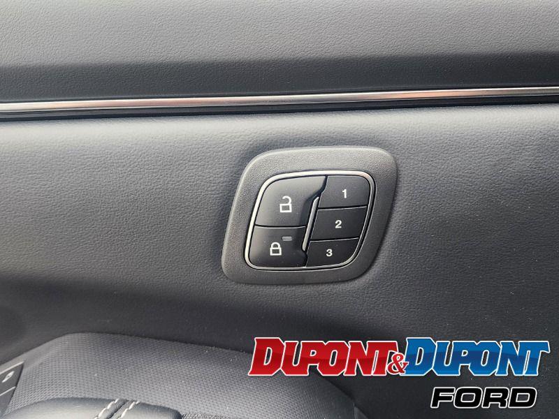 Ford Mustang Mach-e 15