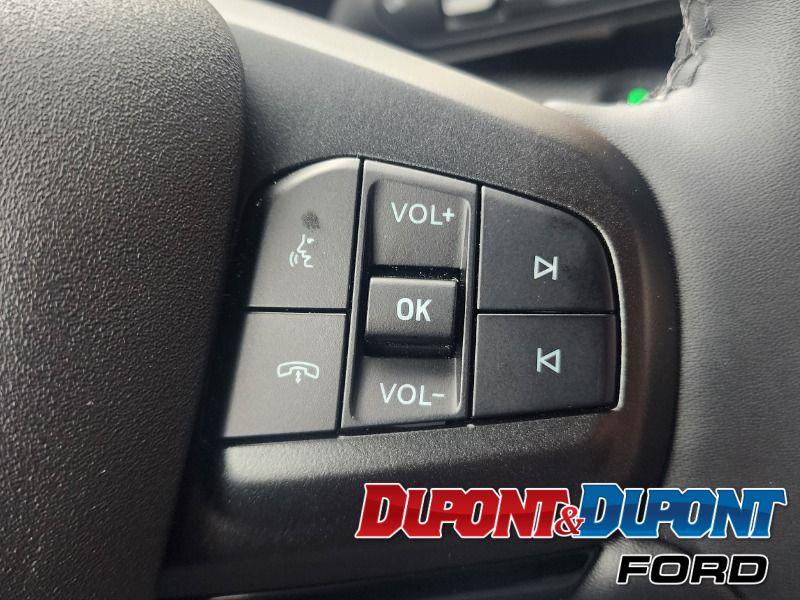 Ford Mustang Mach-e 19