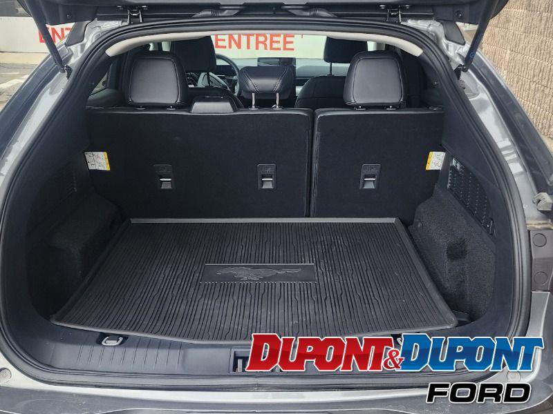 Ford Mustang Mach-e 30