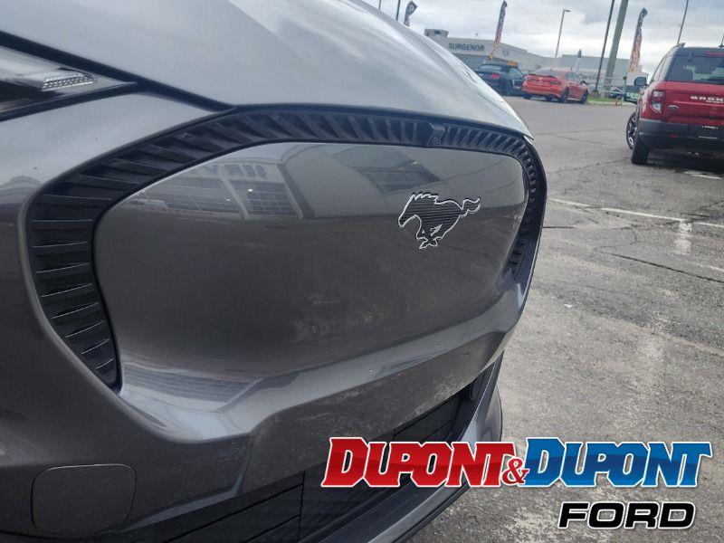 Ford Mustang Mach-e 36