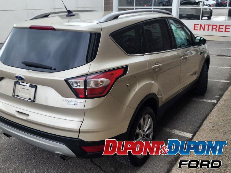 Ford Escape 5