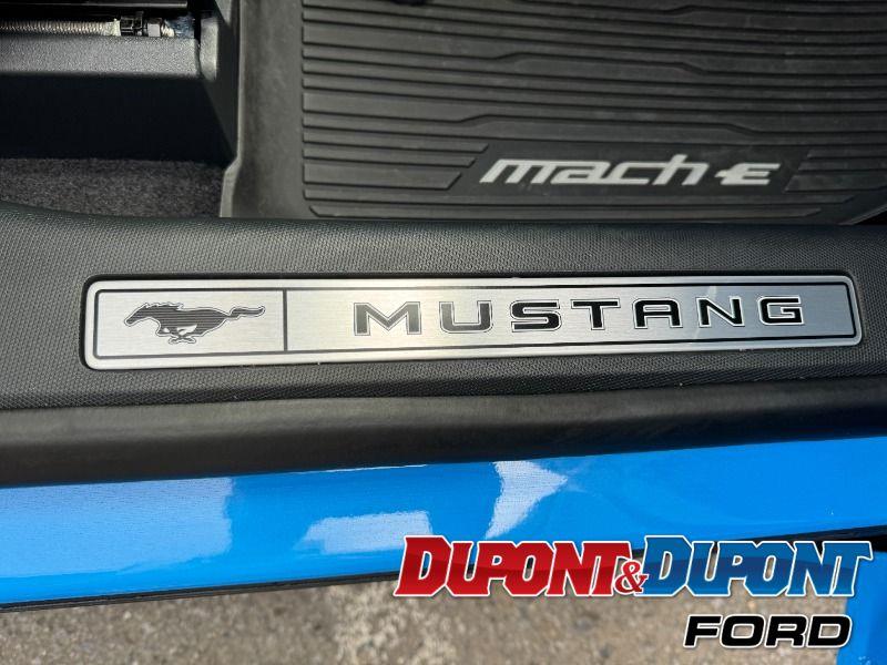 Ford Mustang Mach-e 32