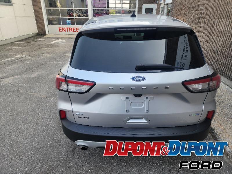 Ford Escape 4