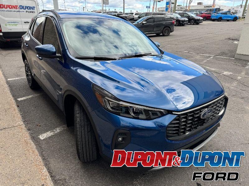 Ford Escape 6