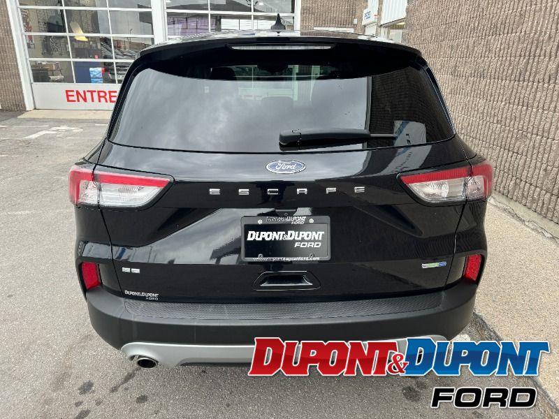 Ford Escape 4
