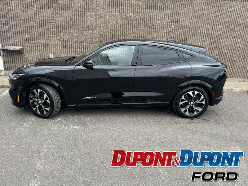 Ford Mustang Mach-e 2