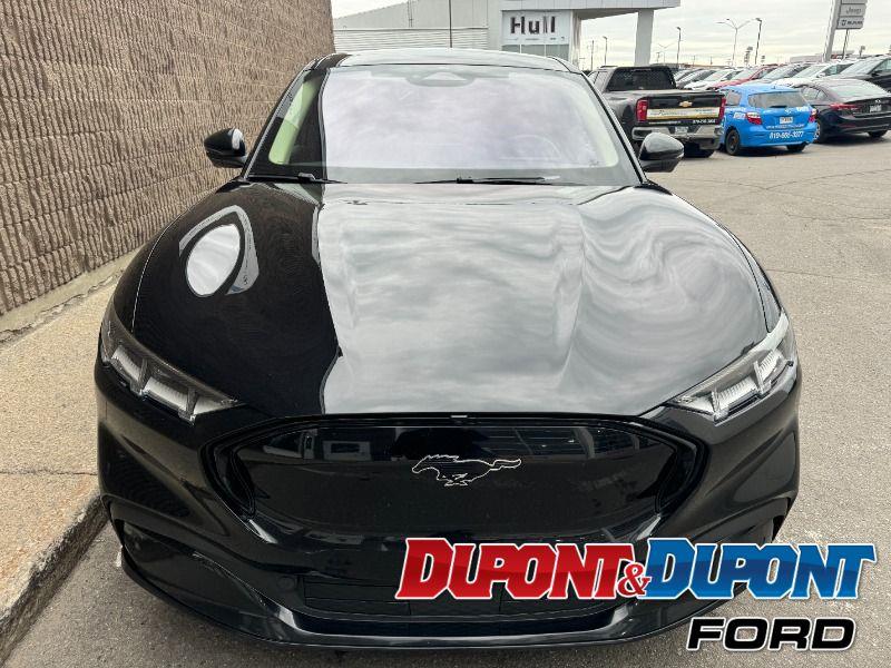 Ford Mustang Mach-e 7