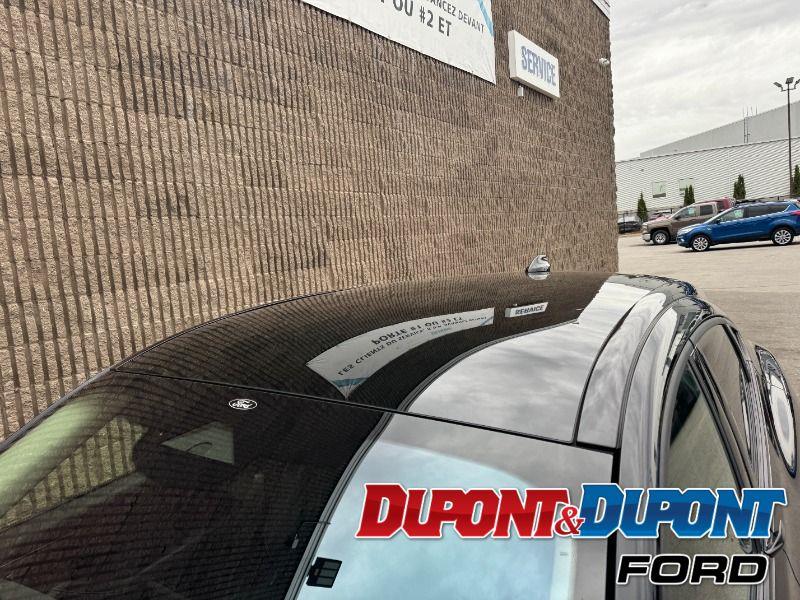 Ford Mustang Mach-e 11