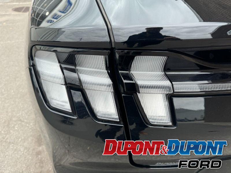 Ford Mustang Mach-e 12