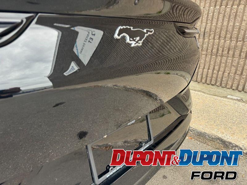 Ford Mustang Mach-e 13