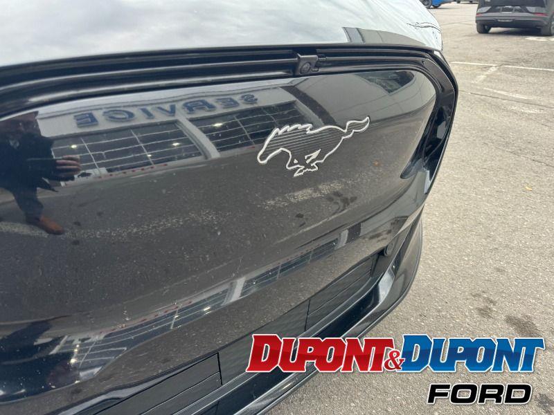 Ford Mustang Mach-e 16