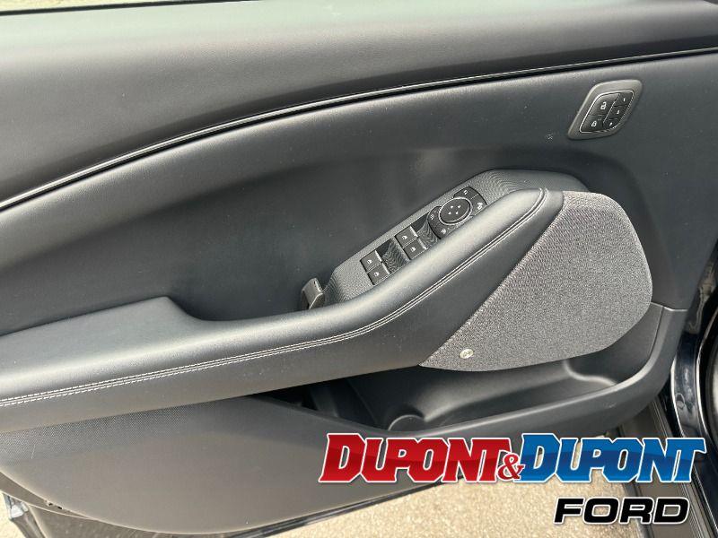 Ford Mustang Mach-e 19