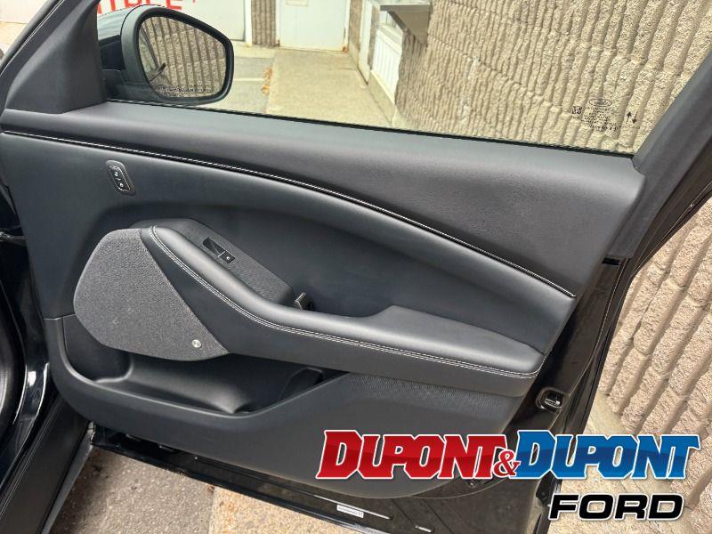 Ford Mustang Mach-e 25