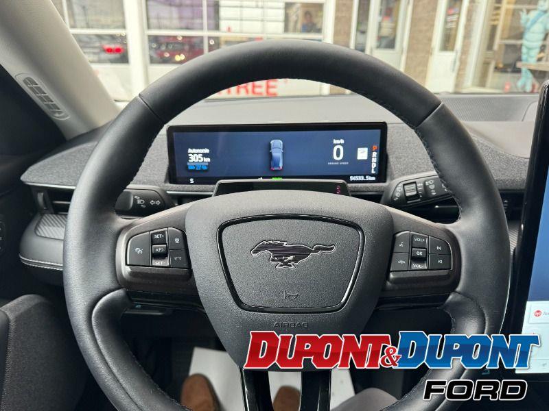 Ford Mustang Mach-e 29