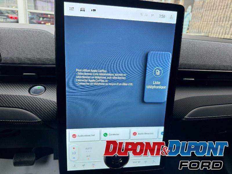 Ford Mustang Mach-e 30