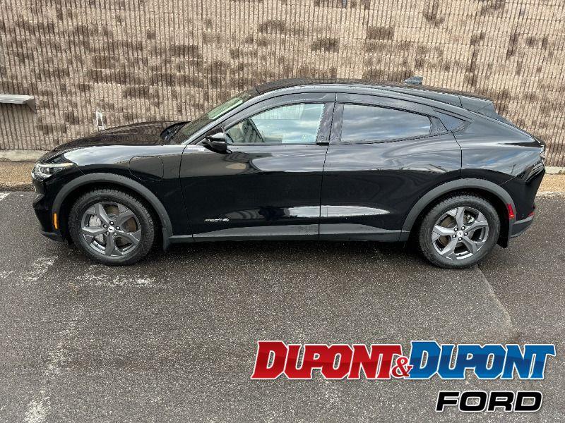 Ford Mustang Mach-e 2