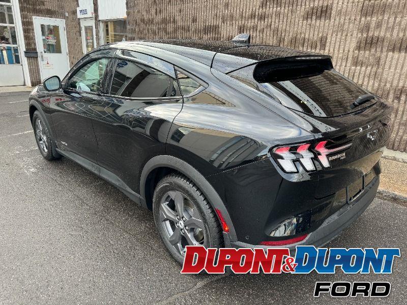 Ford Mustang Mach-e 3