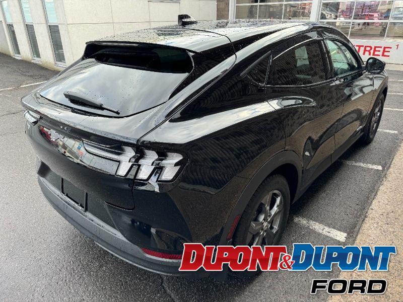 Ford Mustang Mach-e 5