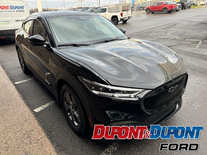 Ford Mustang Mach-e 6