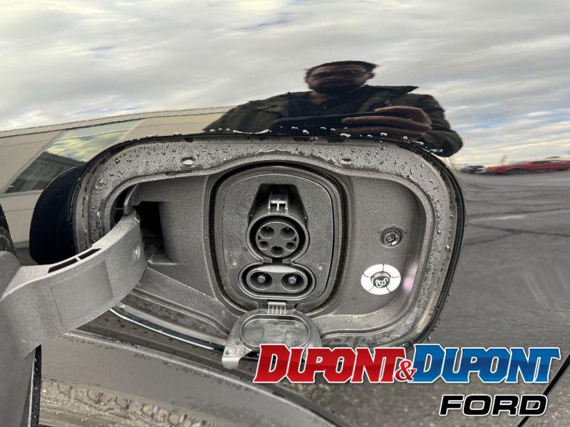 Ford Mustang Mach-e 10