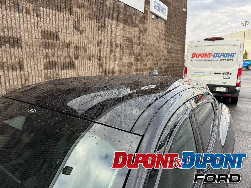 Ford Mustang Mach-e 12