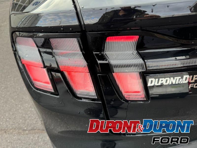 Ford Mustang Mach-e 13