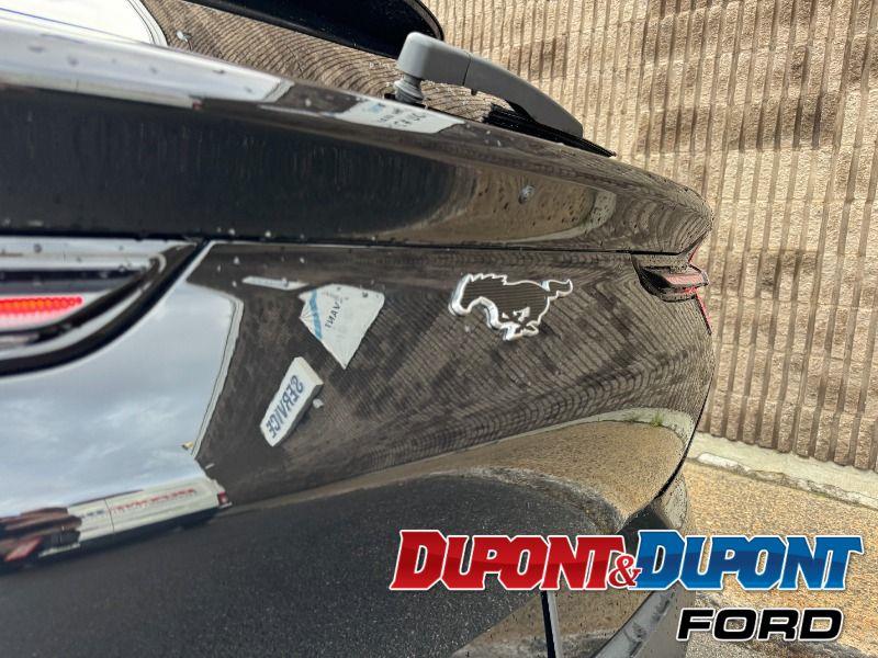 Ford Mustang Mach-e 14