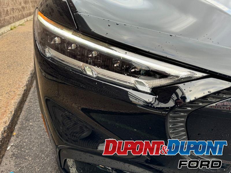 Ford Mustang Mach-e 16